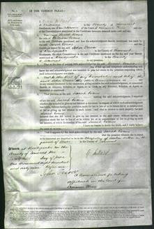 Court of Common Pleas - Sarah Evans-Original Ancestry