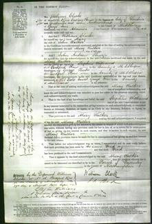 Court of Common Pleas - Mary Walker-Original Ancestry