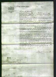 Court of Common Pleas - Agnes Ruth Stutley-Original Ancestry