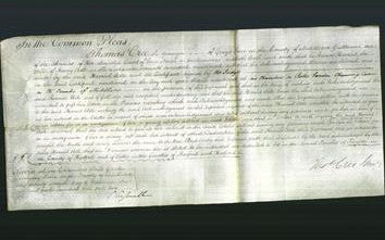 Court of Common Pleas - Harriet Aste-Original Ancestry