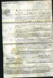 Court of Common Pleas - Rosetta Miles, Maria Jacobs, Elizabeth West and Alice Osborne-Original Ancestry