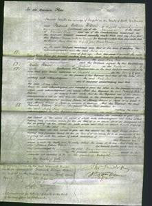 Court of Common Pleas - Mary Ann Brown-Original Ancestry