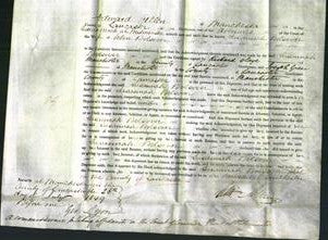 Court of Common Pleas - Susannah Bolsover-Original Ancestry