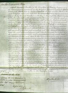 Court of Common Pleas - Caroline Ward-Original Ancestry