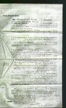 Court of Common Pleas - Elizabeth Ann Turner-Original Ancestry