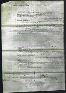 Court of Common Pleas - Sarah Ann Tarrant-Original Ancestry