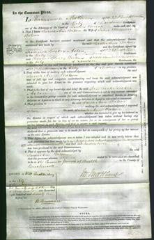 Court of Common Pleas - Sarah Ann Watson-Original Ancestry