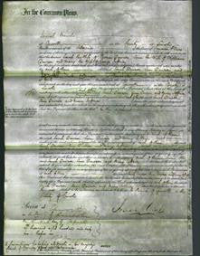 Court of Common Pleas - Sarah Dawson, Ann Dawson and Mary Jeffries-Original Ancestry
