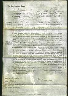 Court of Common Pleas - Elizabeth Pratt and Ann Madger-Original Ancestry