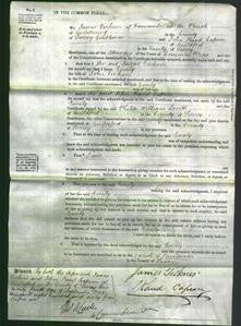 Court of Common Pleas - Emily Tickner-Original Ancestry