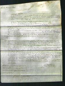 Court of Common Pleas - Ann Burrill-Original Ancestry