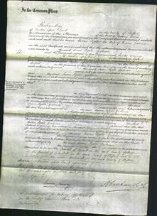 Court of Common Pleas - Susan Fyshe Gisborne-Original Ancestry