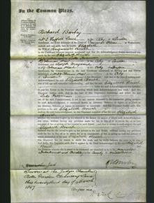 Court of Common Pleas - Elizabeth Bouch-Original Ancestry