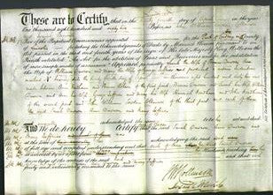 Deed by Married Women - Sarah Dawson, Ann Dawson and Mary Jeffries-Original Ancestry