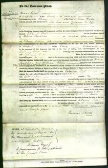 Court of Common Pleas - Catharine Jones-Original Ancestry