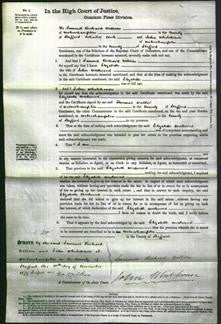 Court of Common Pleas - Elizabeth Westwood-Original Ancestry