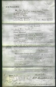 Court of Common Pleas - Emily Marshall-Original Ancestry