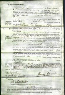 Court of Common Pleas - Amelia Shipley-Original Ancestry