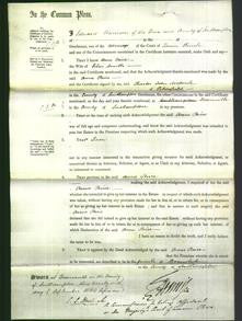 Court of Common Pleas - Anne Paice Smith-Original Ancestry