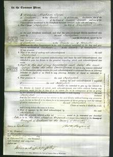 Court of Common Pleas - Hephzibah Luxton-Original Ancestry