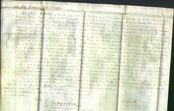 Court of Common Pleas - Mary Ann Walker-Original Ancestry