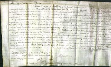 Court of Common Pleas - Elizabeth Carwardine-Original Ancestry