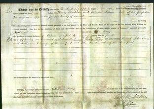 Deed by Married Women - Catharine Jones-Original Ancestry