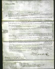 Court of Common Pleas - Mary Rippin-Original Ancestry