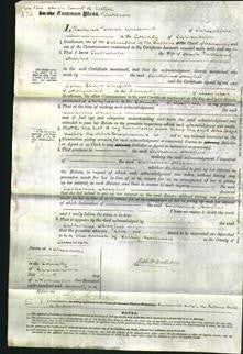 Court of Common Pleas - Catherine Hughes-Original Ancestry