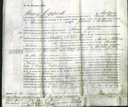 Court of Common Pleas - Annie Ashton-Original Ancestry