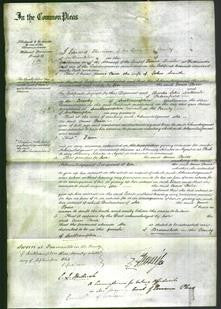 Court of Common Pleas - Anne Paice Smith-Original Ancestry