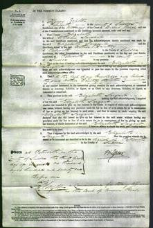 Court of Common Pleas - Elizabeth Sargant-Original Ancestry