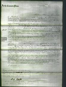 Court of Common Pleas - Elizabeth Aldridge-Original Ancestry