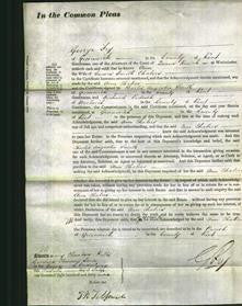 Court of Common Pleas - Ann Chaters-Original Ancestry