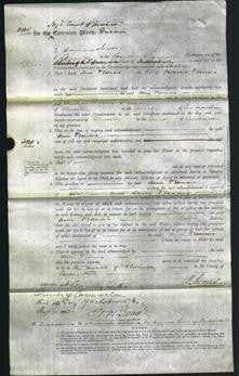 Court of Common Pleas - Ann Francis-Original Ancestry