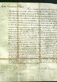 Court of Common Pleas - Mary Smalley-Original Ancestry