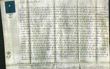 Court of Common Pleas - Lydia Suddaby-Original Ancestry