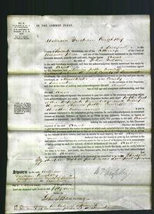 Court of Common Pleas - Anne Nelson-Original Ancestry