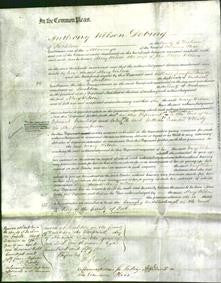Court of Common Pleas - Mary Wilson-Original Ancestry