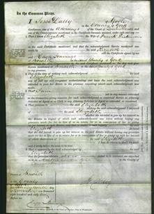 Court of Common Pleas - Elizabeth Dickinson-Original Ancestry