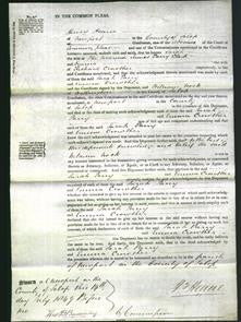 Court of Common Pleas - Sarah Parry and Emma Crowther-Original Ancestry