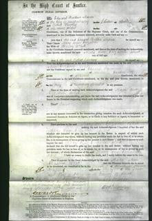 Court of Common Pleas - Mary Ann Elizabeth White-Original Ancestry