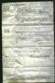 Court of Common Pleas - Esther Caplen-Original Ancestry