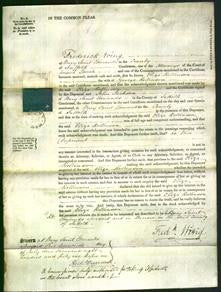 Court of Common Pleas - Eliza Rollinson-Original Ancestry