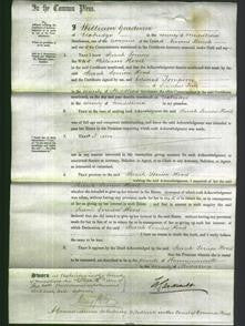 Court of Common Pleas - Sarah Louisa Hood-Original Ancestry