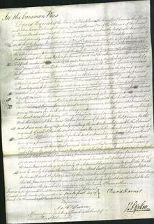 Court of Common Pleas - Anne Evans and Mary Davies-Original Ancestry