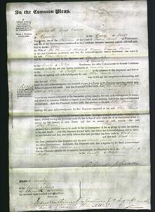 Court of Common Pleas - Ellen Bonner-Original Ancestry