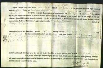 Court of Common Pleas - Charlotte Augusta Chalmers-Original Ancestry