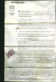 Court of Common Pleas - Ann Cooper-Original Ancestry