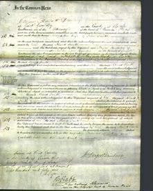 Court of Common Pleas - Maria Smith-Original Ancestry